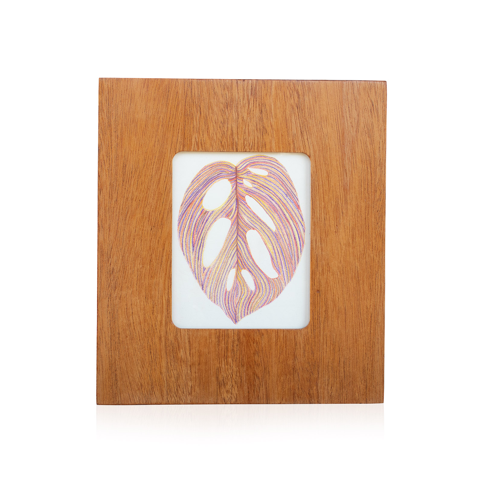 Monstera Drawing Solo 2_1